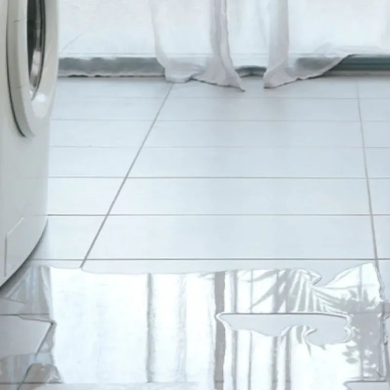 Appliance Leak Cleanup in Highlands Ranch, CO