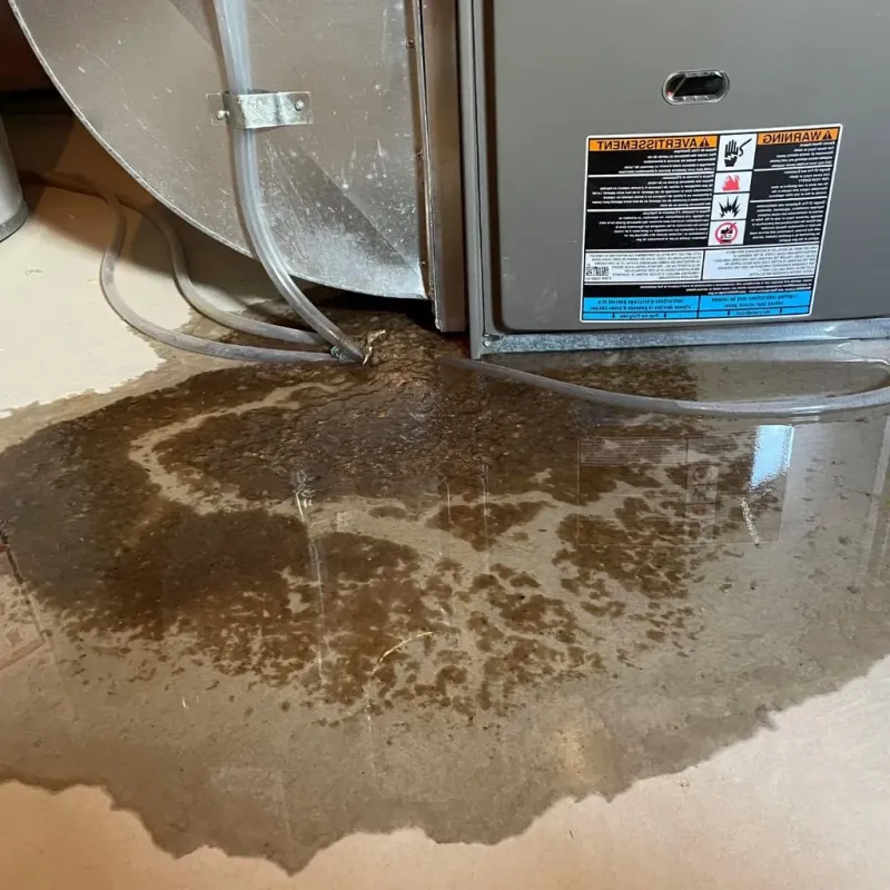 Pipe Burst and Leak Restoration in Highlands Ranch, CO